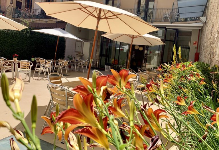 Home Hostal La Terrassa Barcelona